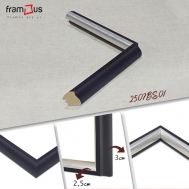 2507-BS01-AC