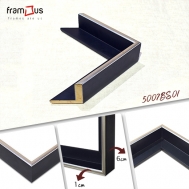 5007-BS01-AC